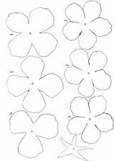 Flower Template Printable Large Pictures