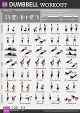 Images of Free Weight Exercises
