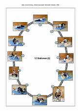 Volleyball Circuit Training Images