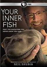 Your Inner Fish Pbs