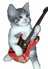 Cat Playing A Guitar Photos