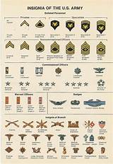 Marine Ranks From Lowest To Highest Pictures