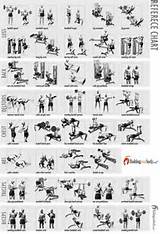 List Of Weight Lifting Exercises Photos