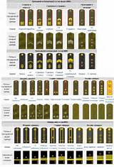 Images of Order Of Us Military Ranks