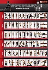 Exercise Routine Resistance Bands Images