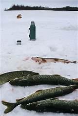 Pike Fishing Alaska Lakes Images