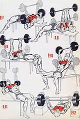 Workout Exercises Bodybuilding Images