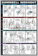 Pictures of Arm Workouts Dumbbells