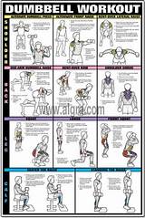 Pictures of Lifting Leg Workouts