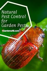 All Garden State Pest Control Pictures