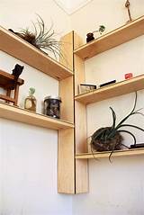 Tree Corner Shelf Images