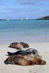 Galapagos Islands Vacation Packages All Inclusive