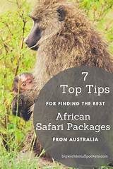 African Safari Package Pictures