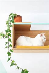 Images of Ikea Hack Cat Furniture