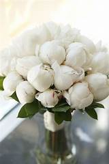 Pictures of White Peony Flower Arrangement