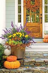 Planting Fall Flowers Containers Pictures