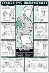 Bodybuilding Program Exercise