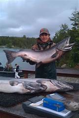 Salmon And Halibut Fishing Alaska