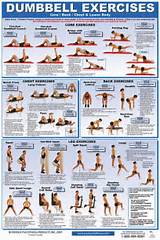 Core Strengthening Dumbbell Exercises Pictures