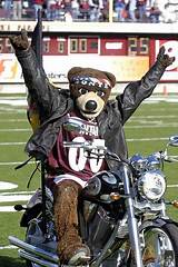 University Of Montana Mascot