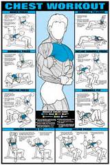 Pec Muscle Exercises Pictures