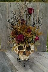 Photos of Skull Flower Vase