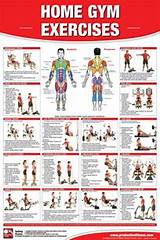 Exercise Routines In The Gym Pictures