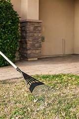 Images of Spring Lawn Care