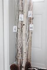 Decorating With Birch