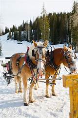 Sleigh Ride Dinner Park City Photos