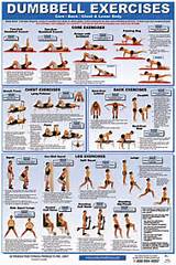 Dumbbell Back Workout Exercises Images