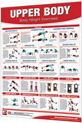 Upper Body Strength Training Exercises Pictures