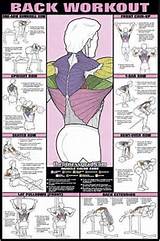 Back Workout At Home Back Workout Chart Step By Step