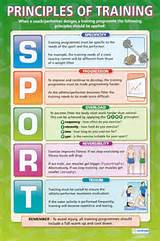 Principles Of Sports Training Images