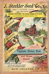 Pictures of Seed Company Catalogs