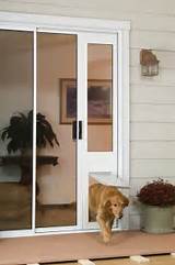 Sliding Door Dog Door Images