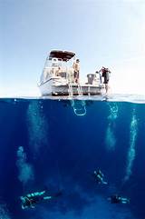 Images of Grand Cayman Scuba Diving Packages