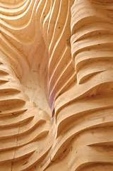 Images of Burns Termite