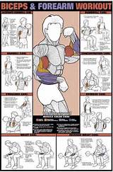 Bicep Muscle Exercises Photos
