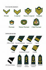 Images of The Army Ranks