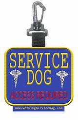 Service Dog Products Photos