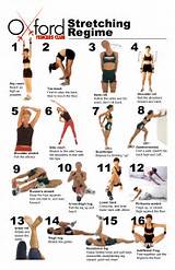 Workout Stretching Exercises