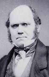 Photos of Robert Charles Darwin Theory Of Evolution