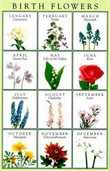 Monthly Gemstones And Flowers