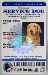 Service Animal Registry Number Pictures