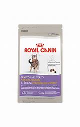 Royal Canin Feline Health Nutrition Special 33 Dry Cat Food