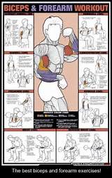 Pictures of Lifts For Biceps