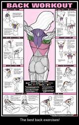 Female Back Workout Exercises Images