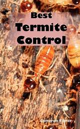Orange Termite Control Photos