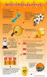 Pictures of What Are The Medical Benefits Of Honey